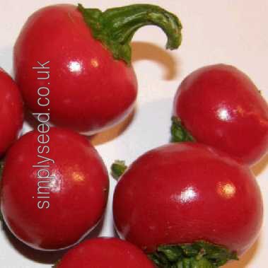 Chilli Cherry Bomb
